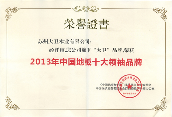 大衛地板榮獲“2013年中國地板十大領袖品牌”.jpg